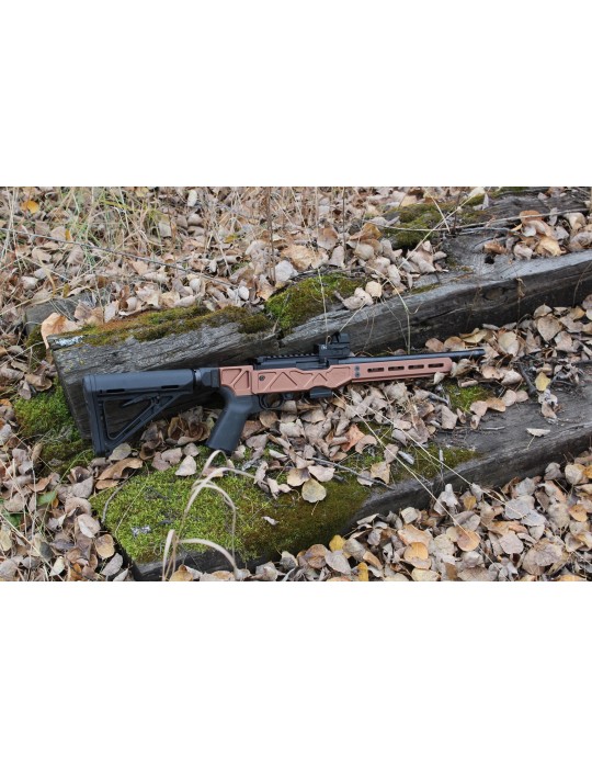 Spectre G3 10/22 Chassis - Tanodize