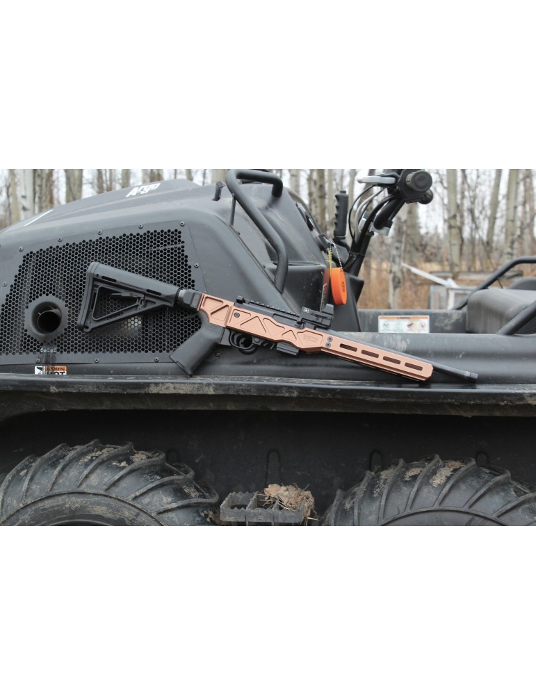 Spectre G3 10/22 Chassis - Tanodize